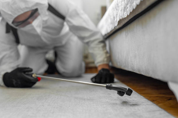 Professional Bed Bug Control technician working in Bevil Oaks, TX