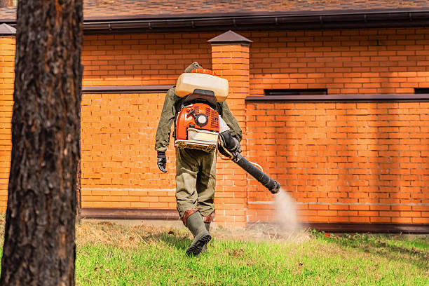 Trusted Emergency Pest Control service in Bevil Oaks, TX - Nex Pest Control